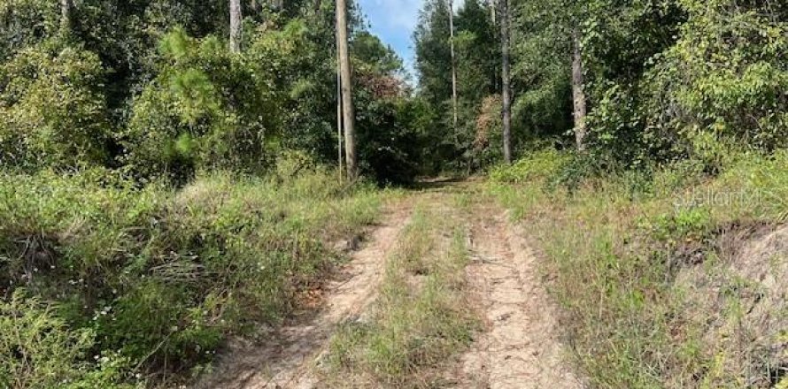 Terreno en Dade City, Florida № 1393970