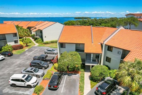 Copropriété à louer à Tierra Verde, Floride: 1 chambre, 61.78 m2 № 915893 - photo 1