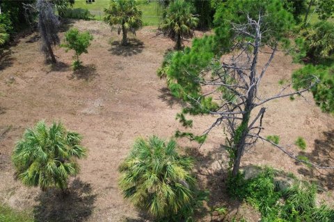 Terreno en venta en Englewood, Florida № 1314721 - foto 8