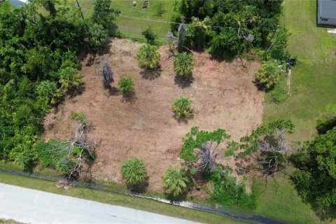 Terreno en venta en Englewood, Florida № 1314721 - foto 3