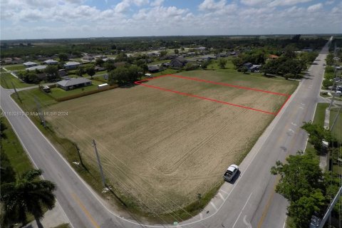 Terreno en venta en Homestead, Florida № 1293395 - foto 3