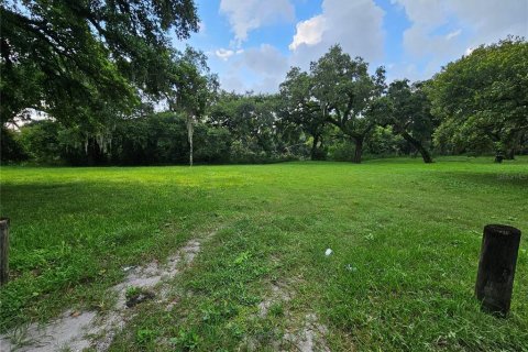 Terreno en venta en Tampa, Florida № 1311458 - foto 2