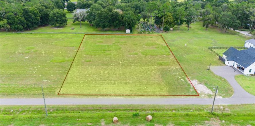 Terreno en Dade City, Florida № 1367836