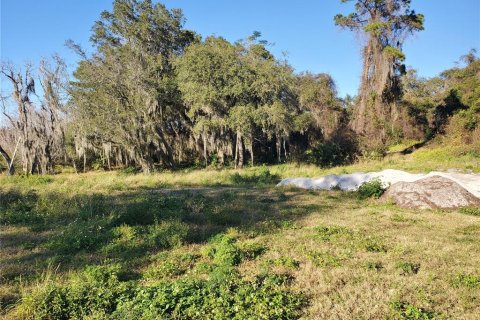 Terrain à vendre à Deltona, Floride № 212896 - photo 1