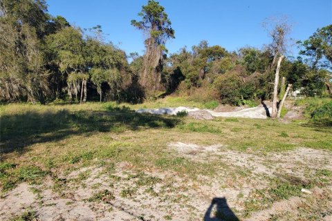 Terrain à vendre à Deltona, Floride № 212896 - photo 11