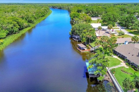 Villa ou maison à vendre à DeLand, Floride: 3 chambres, 297.19 m2 № 1242961 - photo 6