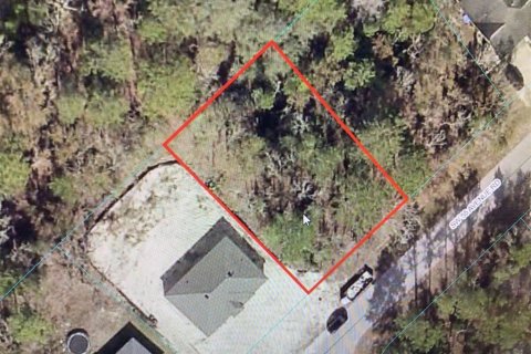 Terreno en venta en Ocala, Florida № 1422357 - foto 1