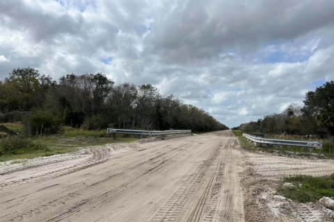 Land in Okeechobee, Florida № 854119 - photo 9