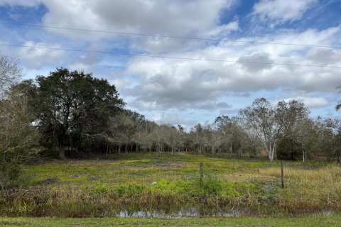 Land in Okeechobee, Florida № 854119 - photo 7