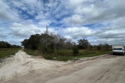 Land in Okeechobee, Florida № 854119 - photo 1