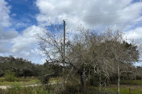 Land in Okeechobee, Florida № 854119 - photo 8