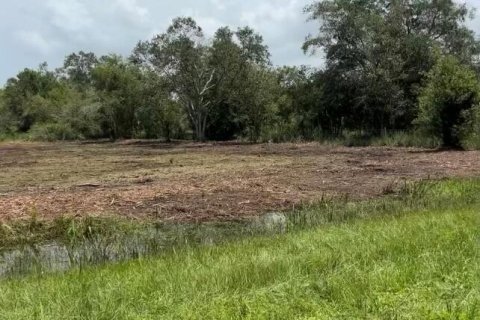 Land in Okeechobee, Florida № 854119 - photo 2