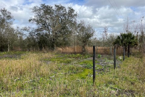 Land in Okeechobee, Florida № 854119 - photo 12