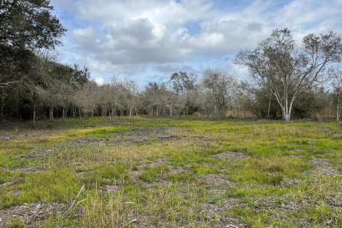 Land in Okeechobee, Florida № 854119 - photo 14