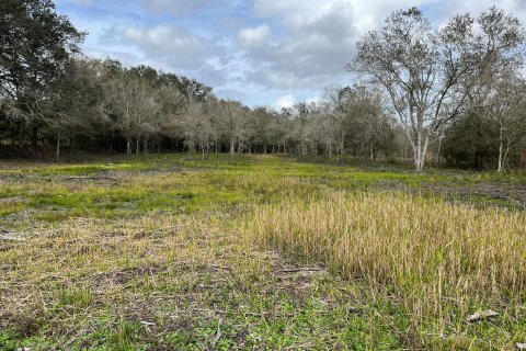 Land in Okeechobee, Florida № 854119 - photo 11