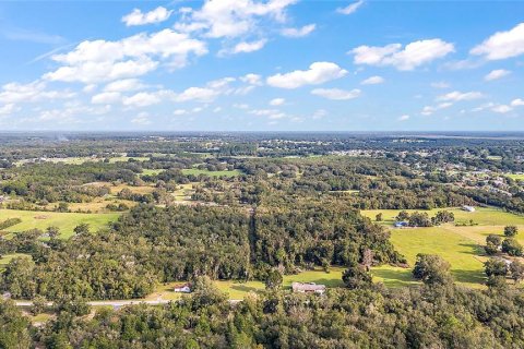 Terreno en venta en Lady Lake, Florida № 1405326 - foto 6