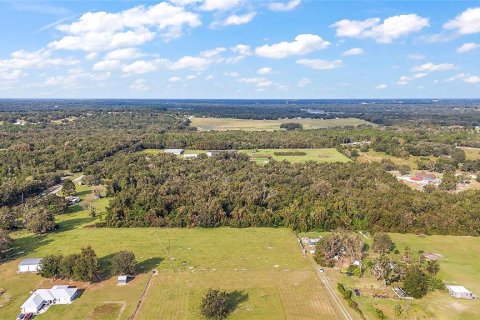 Terreno en venta en Lady Lake, Florida № 1405326 - foto 8