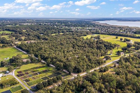 Terreno en venta en Lady Lake, Florida № 1405326 - foto 2