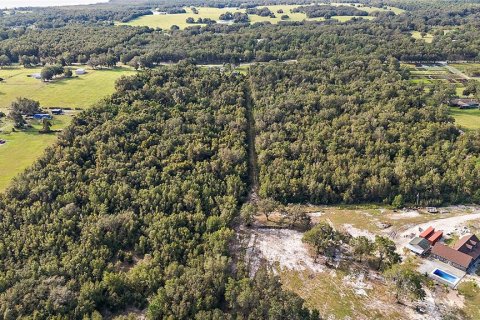 Terreno en venta en Lady Lake, Florida № 1405326 - foto 9