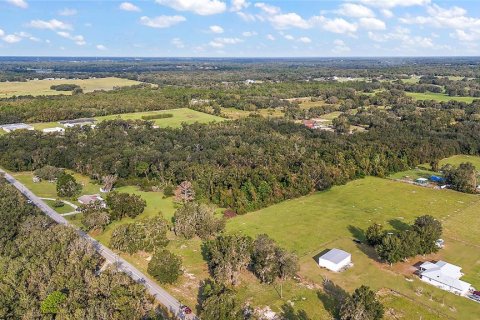 Terreno en venta en Lady Lake, Florida № 1405326 - foto 7