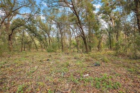 Terreno en venta en Lady Lake, Florida № 1405326 - foto 5