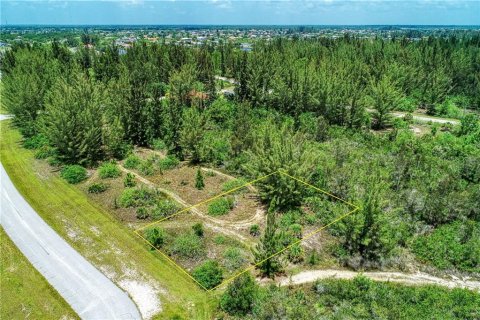 Купить земельный участок в Порт-Шарлотт, Флорида № 213394 - фото 14