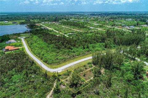 Купить земельный участок в Порт-Шарлотт, Флорида № 213394 - фото 9