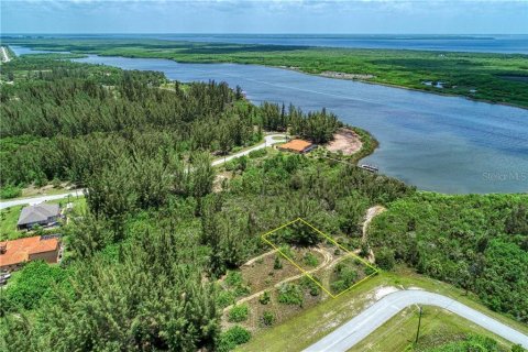 Купить земельный участок в Порт-Шарлотт, Флорида № 213394 - фото 5