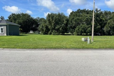 Terreno en venta en Polk City, Florida № 1367772 - foto 1