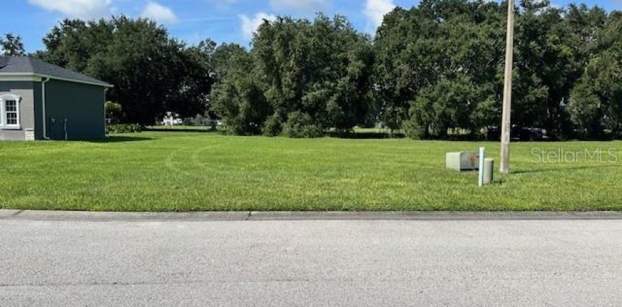 Land in Polk City, Florida № 1367772