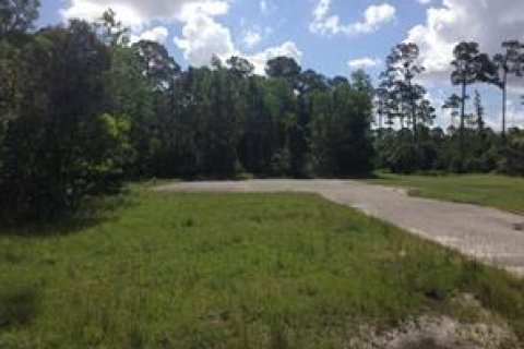 Купить земельный участок в Лейк-Уорт, Флорида № 55192 - фото 1