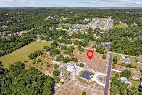 Terreno en venta en DeLand, Florida № 1242577 - foto 7