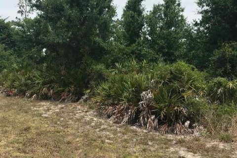 Terreno en venta en Rotonda, Florida № 1194097 - foto 15