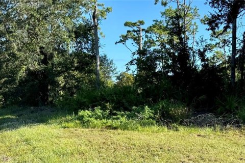 Terreno en venta en Kissimmee, Florida № 1405137 - foto 2