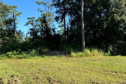 Terreno en venta en Kissimmee, Florida № 1405137 - foto 3