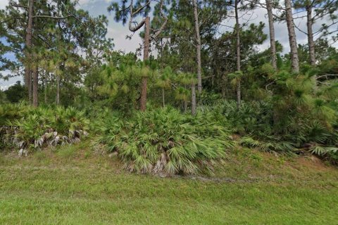 Terreno en venta en Saint Cloud, Florida № 1365985 - foto 1