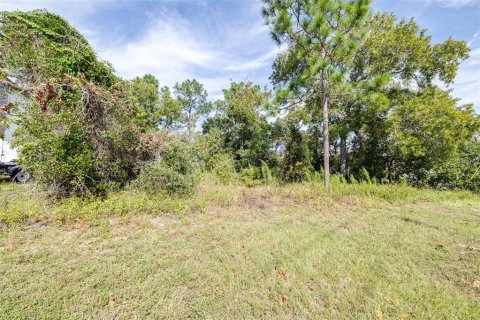 Terreno en venta en Spring Hill, Florida № 1402250 - foto 16