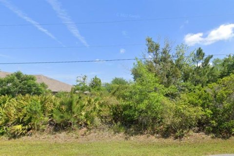 Terreno en venta en Palm Coast, Florida № 1402161 - foto 1