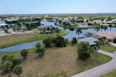 Terrain à vendre à Punta Gorda, Floride № 1152662 - photo 17