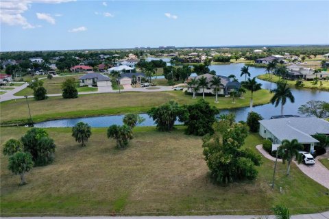 Terrain à vendre à Punta Gorda, Floride № 1152662 - photo 22