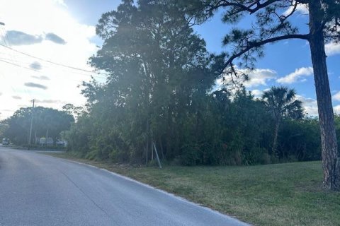 Terrain à vendre à Hobe Sound, Floride № 1121002 - photo 3