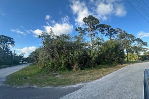 Terrain à vendre à Hobe Sound, Floride № 1121002 - photo 4