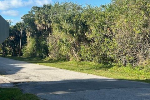 Terrain à vendre à Hobe Sound, Floride № 1121002 - photo 2