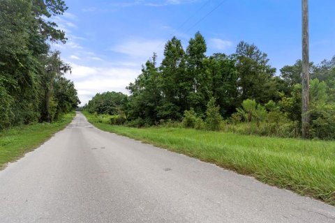 Land in Lake Butler, Florida № 1333765 - photo 27