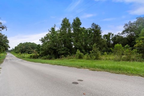 Land in Lake Butler, Florida № 1333765 - photo 28