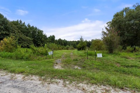 Land in Lake Butler, Florida № 1333765 - photo 1