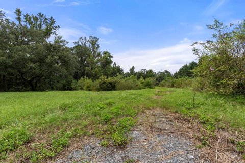 Land in Lake Butler, Florida № 1333765 - photo 14