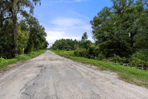 Land in Lake Butler, Florida № 1333765 - photo 7