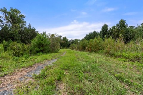 Land in Lake Butler, Florida № 1333765 - photo 9