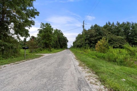 Land in Lake Butler, Florida № 1333765 - photo 6